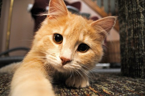 Ильдар Насибуллин the Nameless | Октябрьский