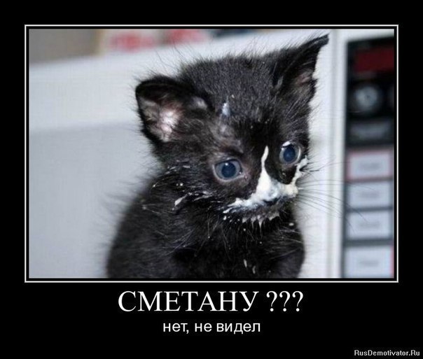 Константин Бондаренко | Москва