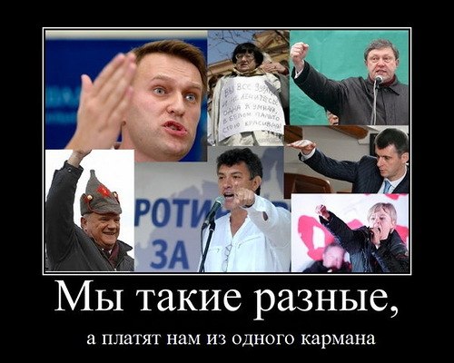 Сэр Мэр фото со стены #4