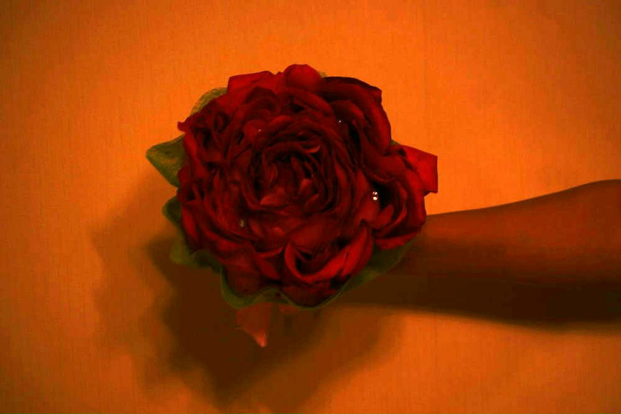 Вера Иванова | Санкт-Петербург