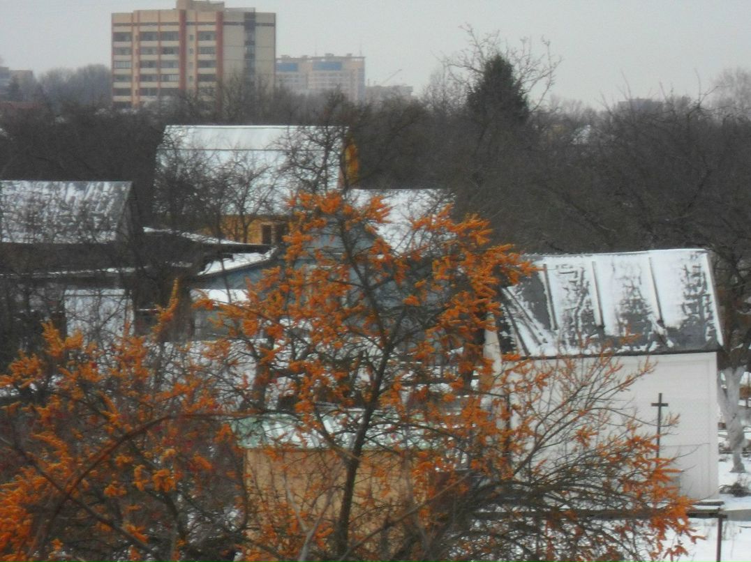 Елена Батусова (Зуева) | Санкт-Петербург