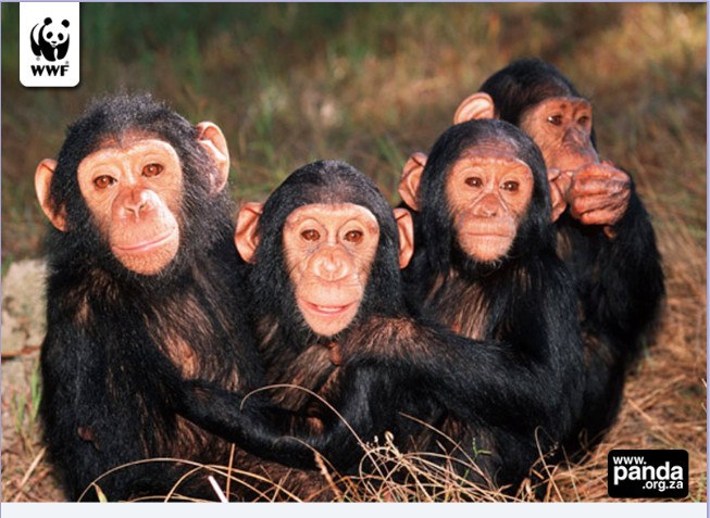 Денис Смирнов | Череповец