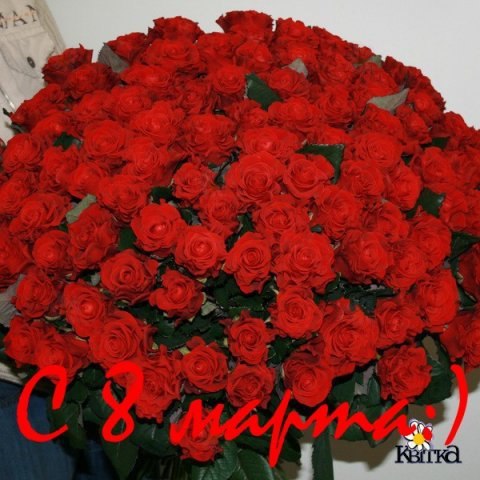 Кристина Крупа | Ужгород