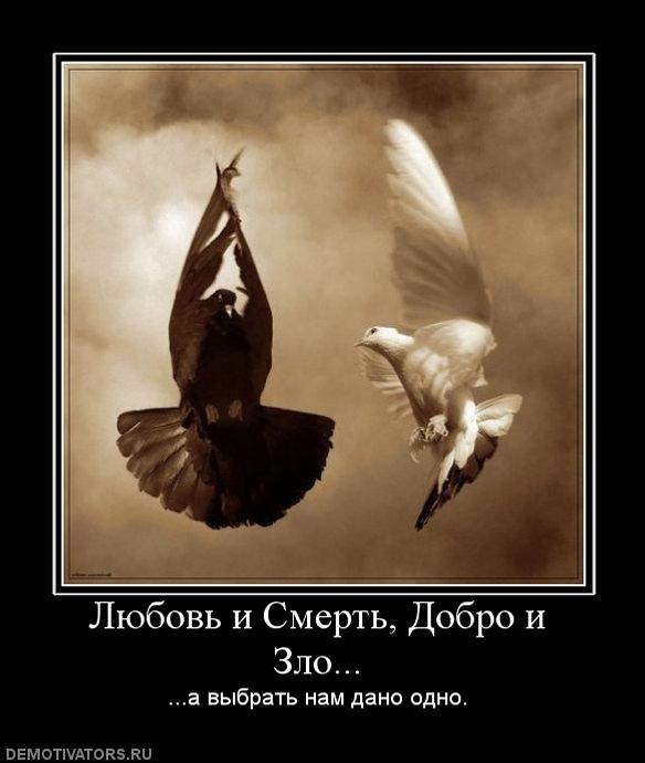 Евгений Иванов | Курск