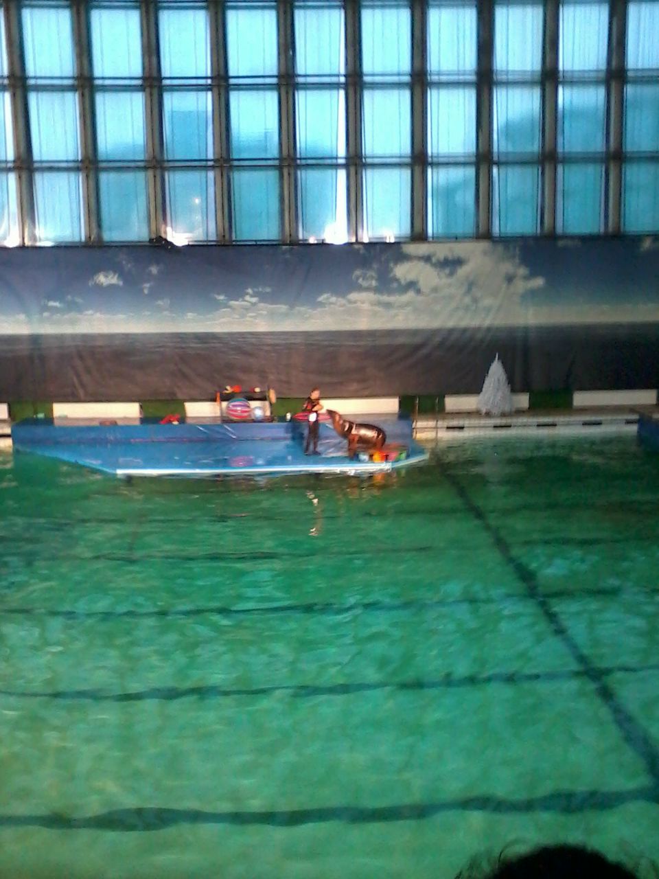 Татьяна Баранова | Санкт-Петербург