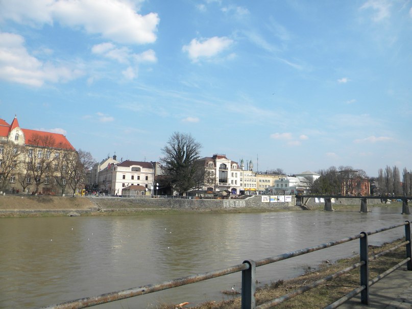 Людмила Галушка | Киев