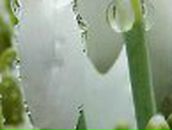 Татьяна Богатырева | Кунгур