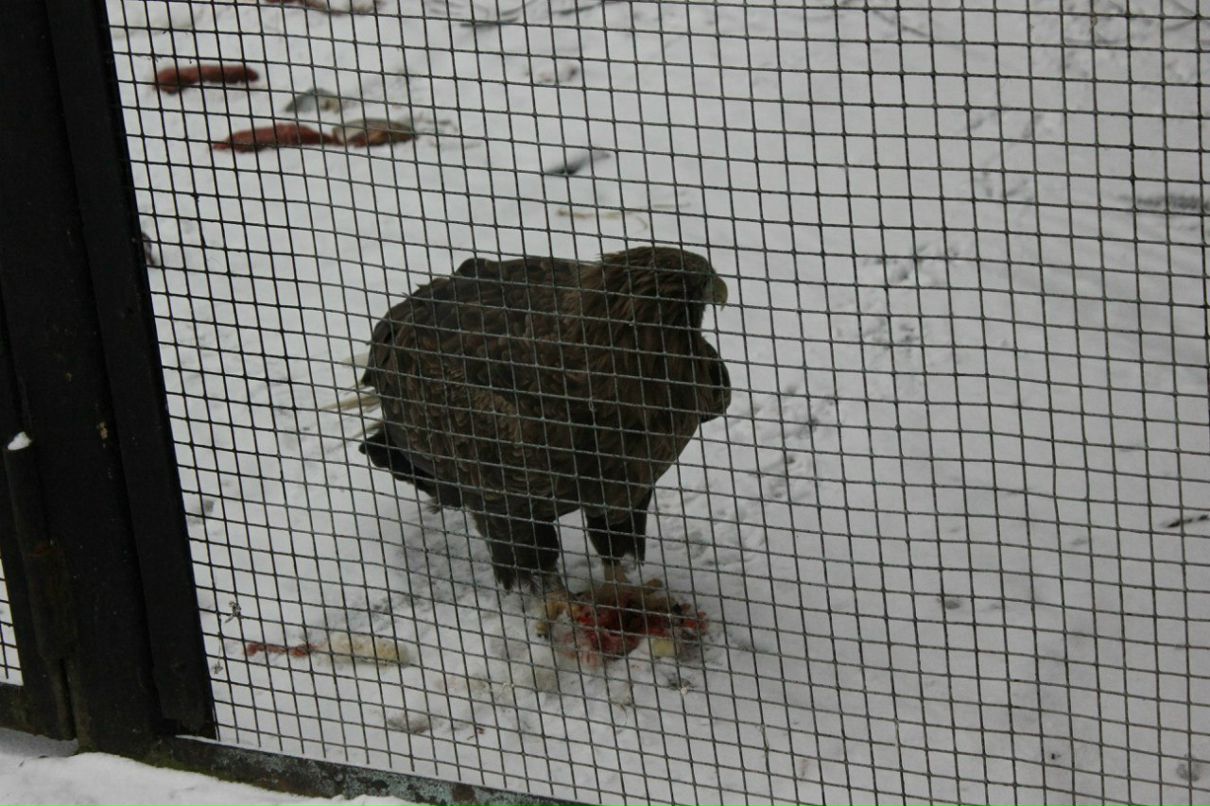Екатерина Голубенко | Санкт-Петербург