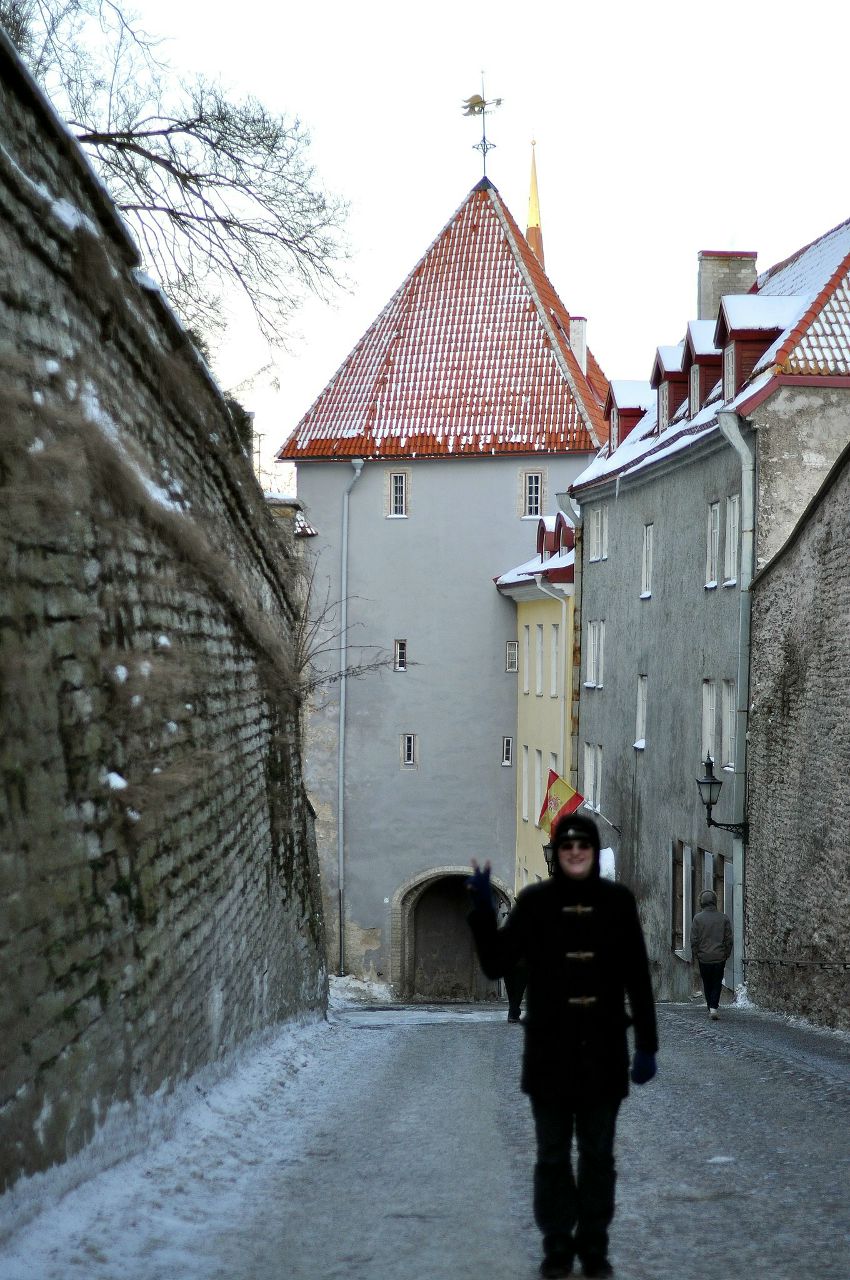 Анастасия Гудзенчук | Rotterdam