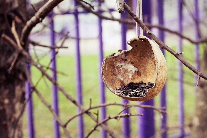 Надежда Зойдберг | Москва