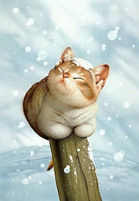 Оля Павленко .lι.ιlιlι. .lι. | 