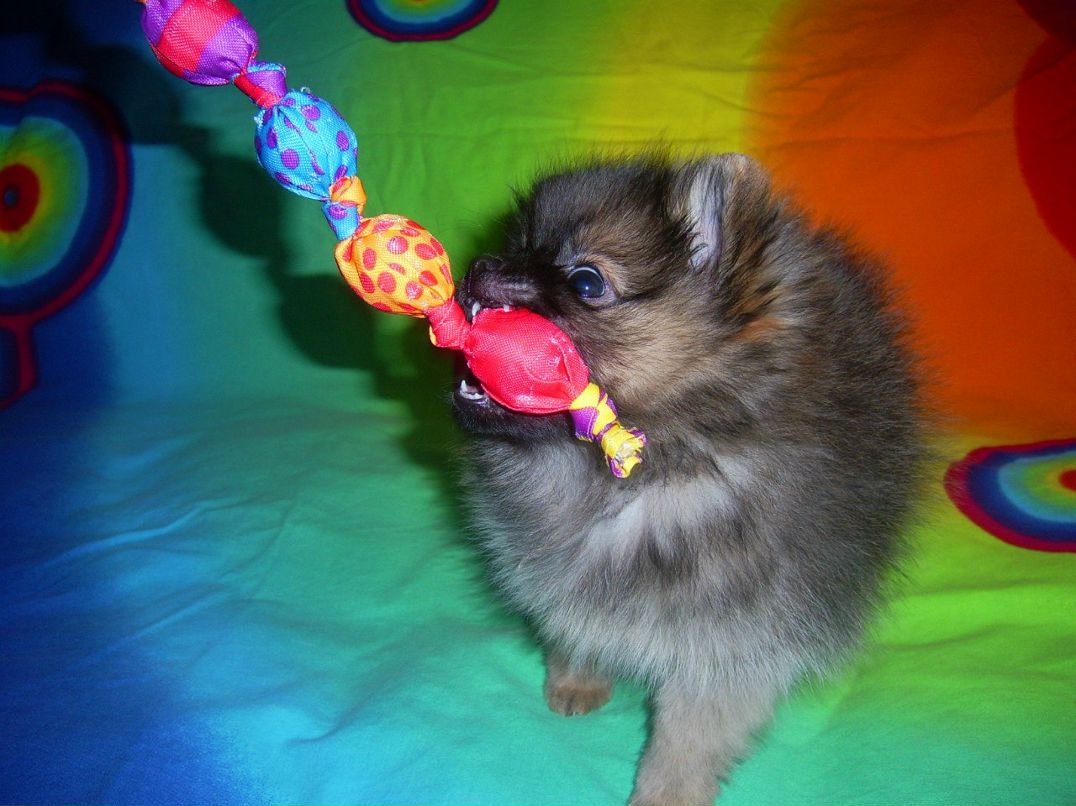 Алиса Парамохина | Москва