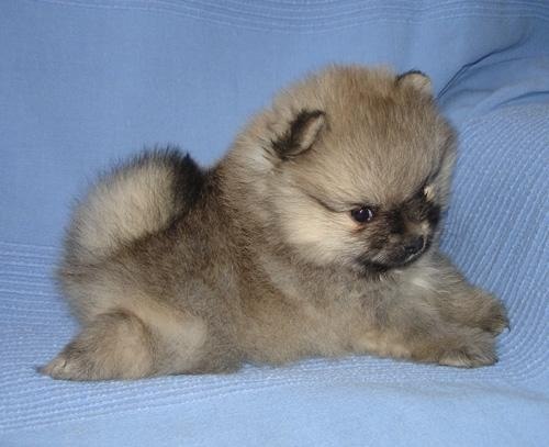 Страница Удалена | Москва