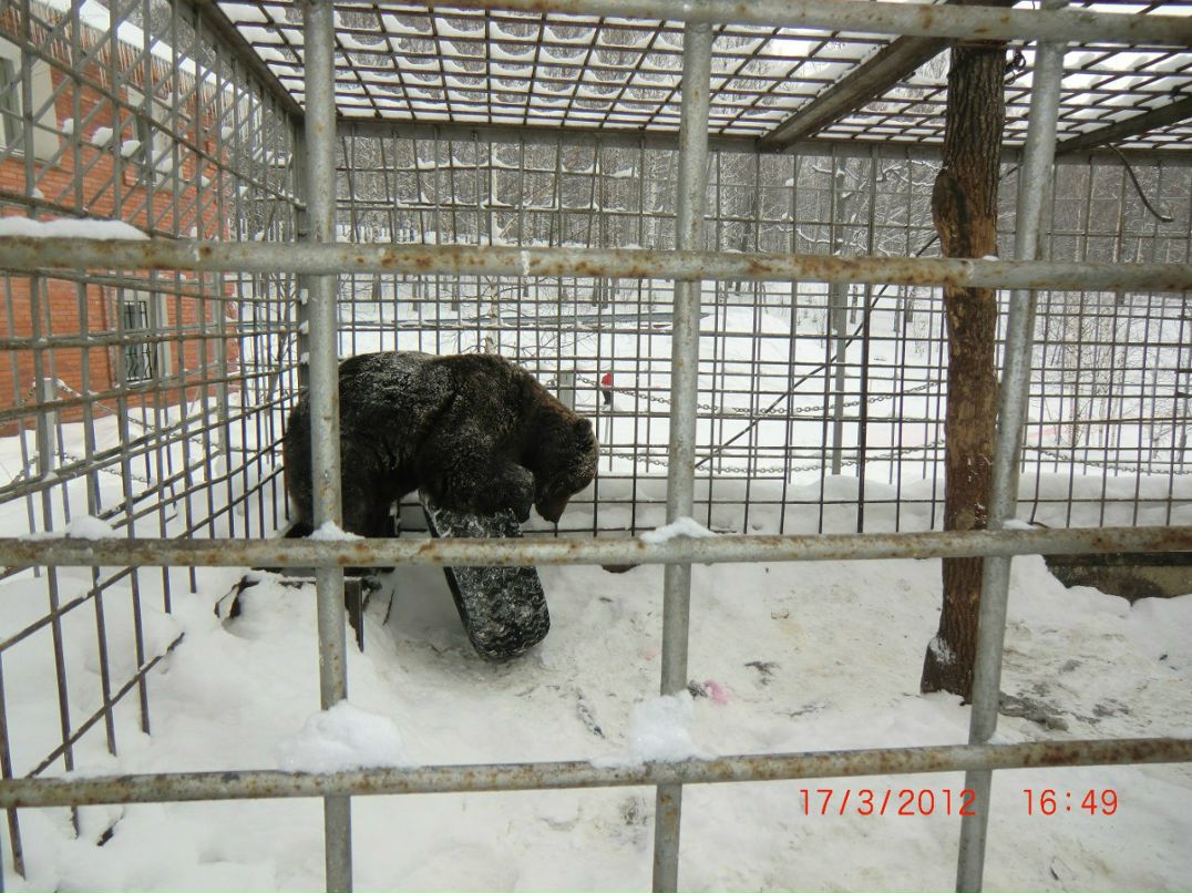 Дмитрий Готман | Стерлитамак