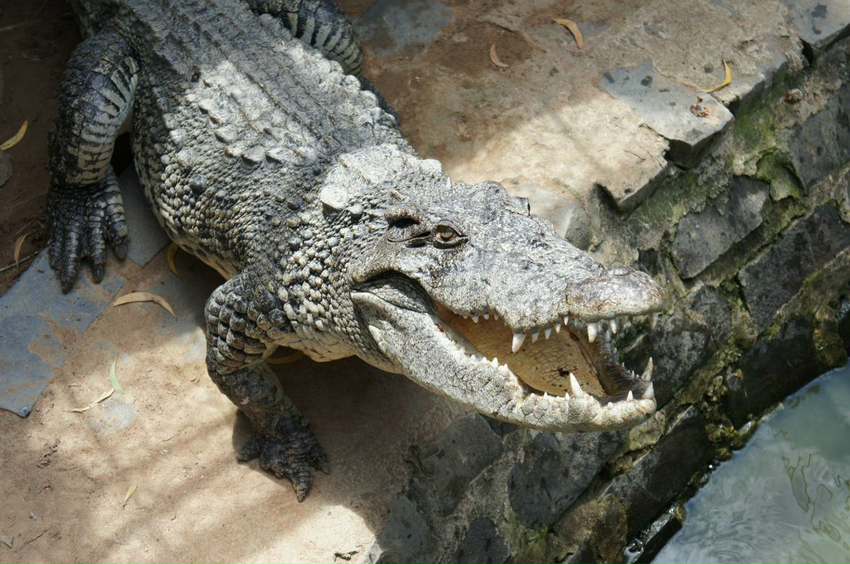 Хамзат Базалаев | Муравленко