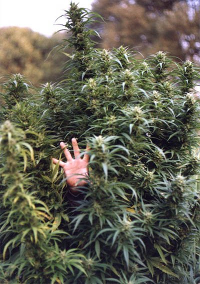 Алексей Мудрецов | Йошкар-Ола