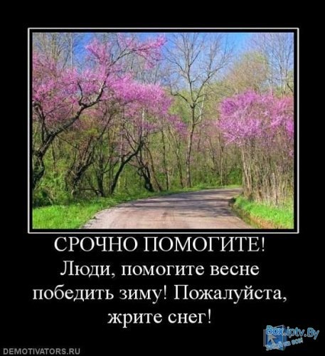 №34, Андрей Церлюк, 3.3 №34, Андрей Церлюк, 3.3