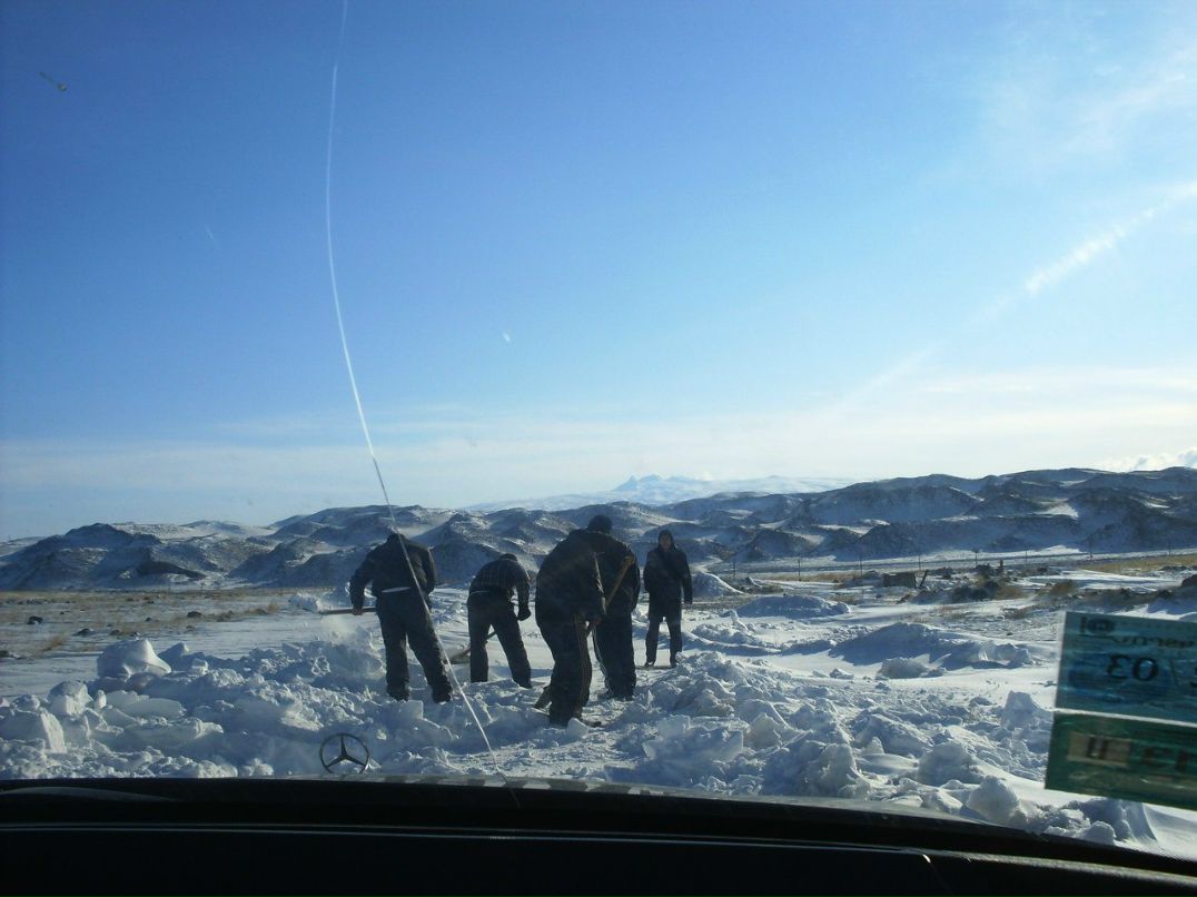 Анюта Маркелова PangoLin | Солнечногорск