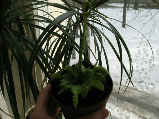 №127, Ellina Nishida, 33 года, Tokyo №127, Ellina Nishida, 33 года, Tokyo