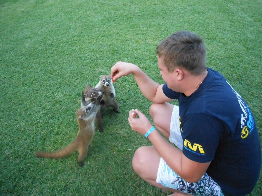 Тарас Пігура | Chicago