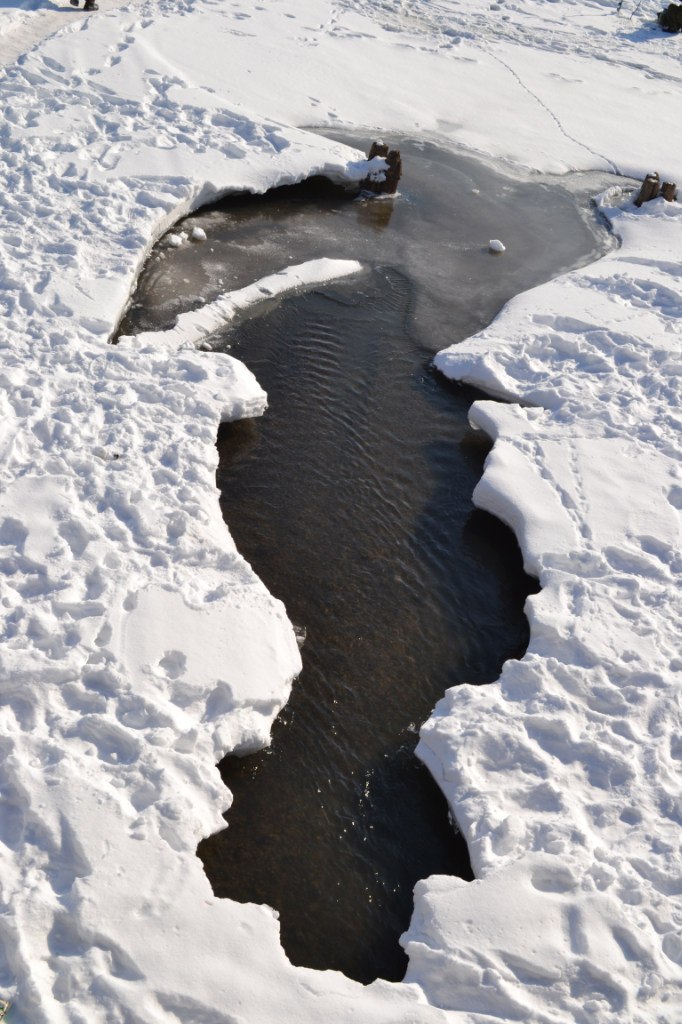 Дмитрий Власов | Москва