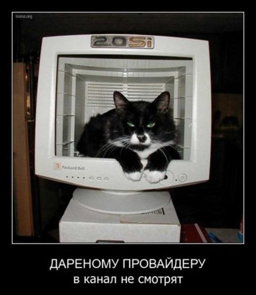 Богдан Дончук | Полонное