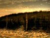 Владимир Сорокин-Марин | Феодосия