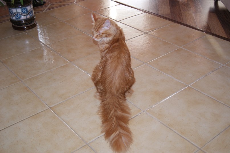 Оксана Курылёва | 