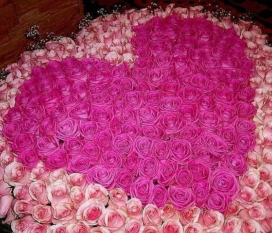 №8, Selena Melek, 9.6.1988, Wien №8, Selena Melek, 9.6.1988, Wien