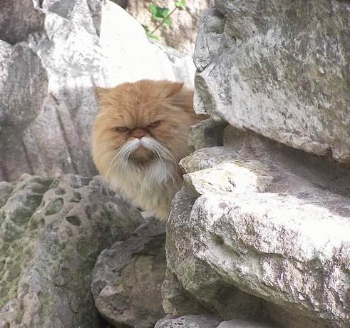 Olechka Lefterova | Киев