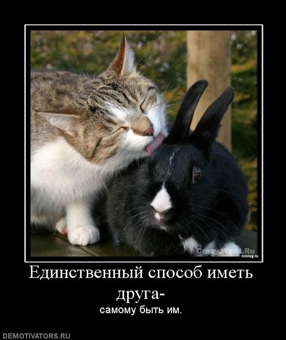 Любовь Модоева | 