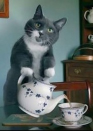 №95, Павел Игнатьев, Воскресенск №95, Павел Игнатьев, Воскресенск