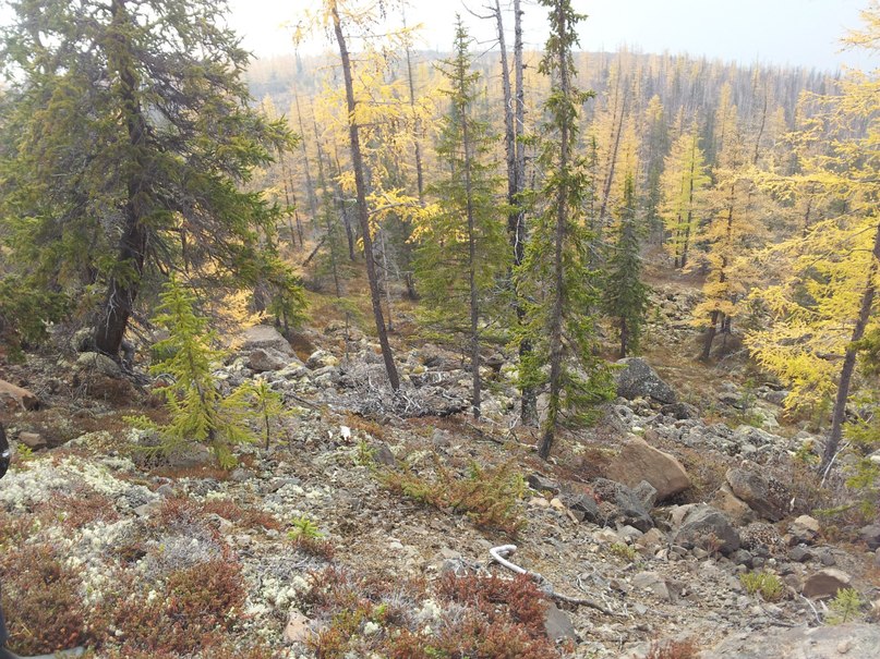 Дмитрий Фомин Николаевич | Норильск