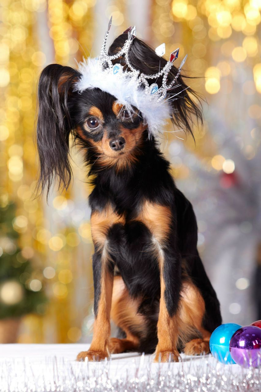 Марина Земляная | 