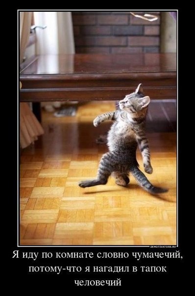 Денис Дещиц Николаевич | Москва