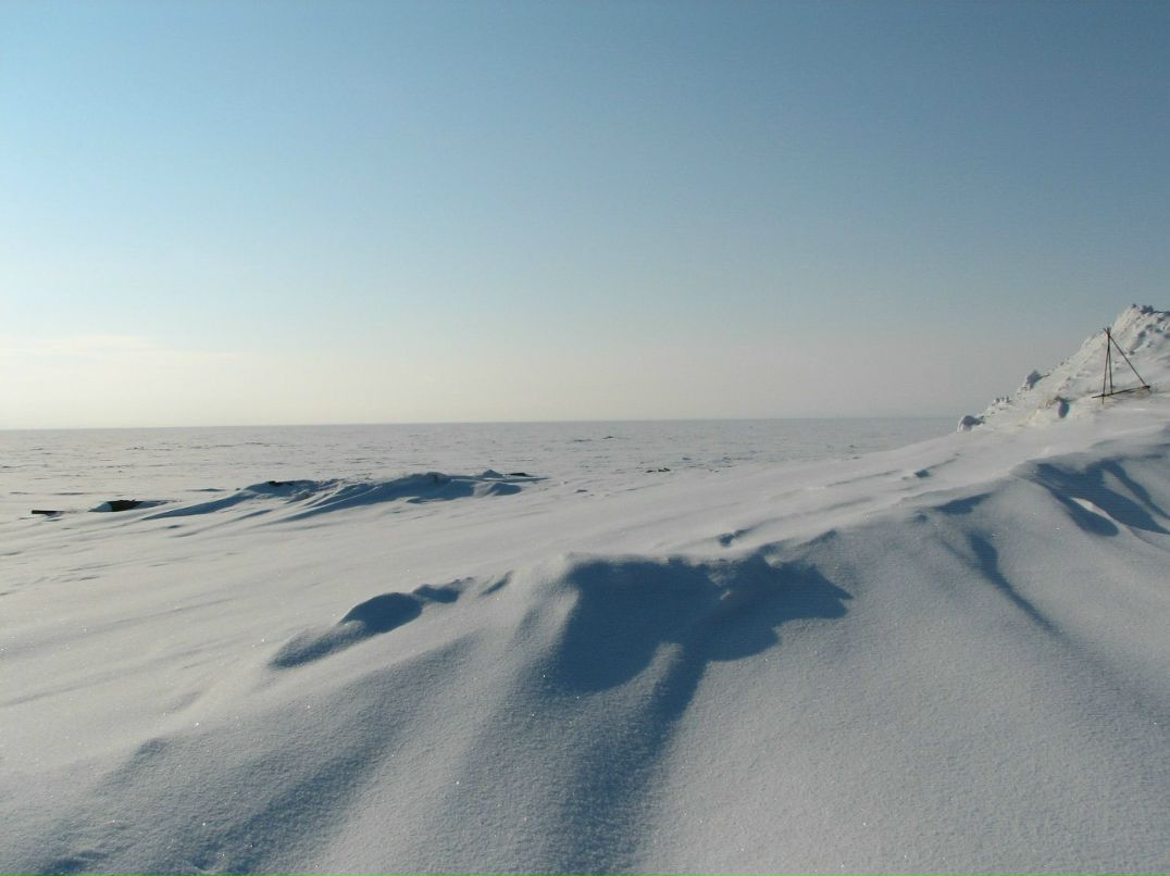 Константин Дураков Саныч | Нижний Тагил