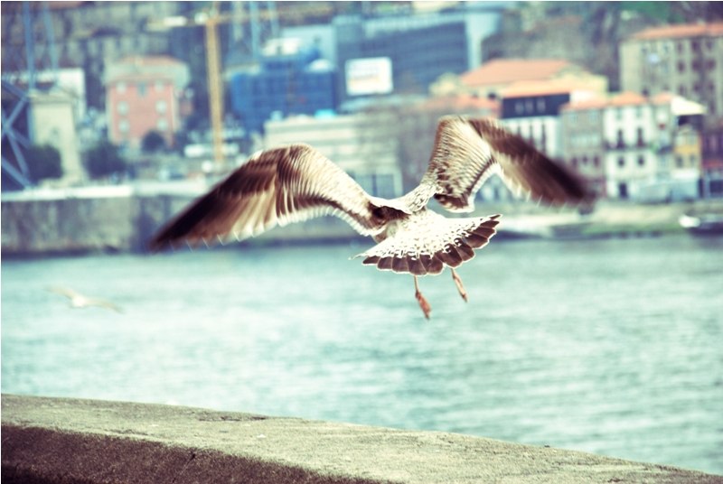 Марина Михайлова M@rusЯ | Torrevieja