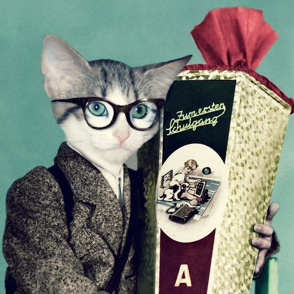 №166, Антон Кравцов, Екатеринбург №166, Антон Кравцов, Екатеринбург