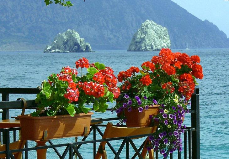 Сергей Леванович | Минск