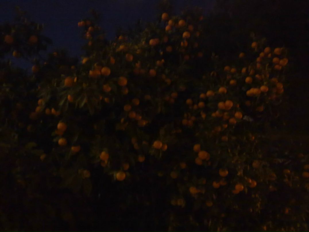 Екатерина Степанова | Москва