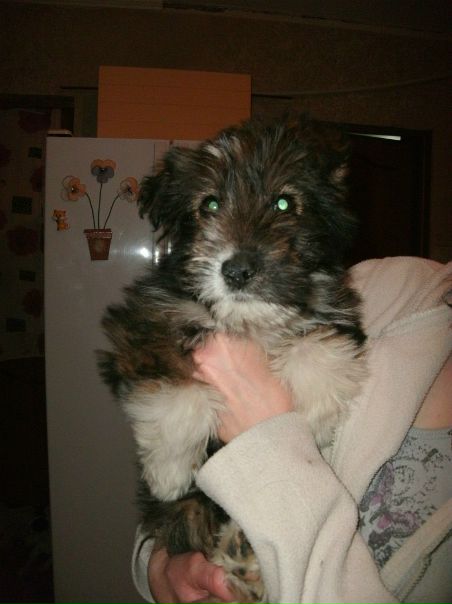 №120, Ольга Жихарева №120, Ольга Жихарева