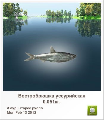 Игорь Вдовин | 