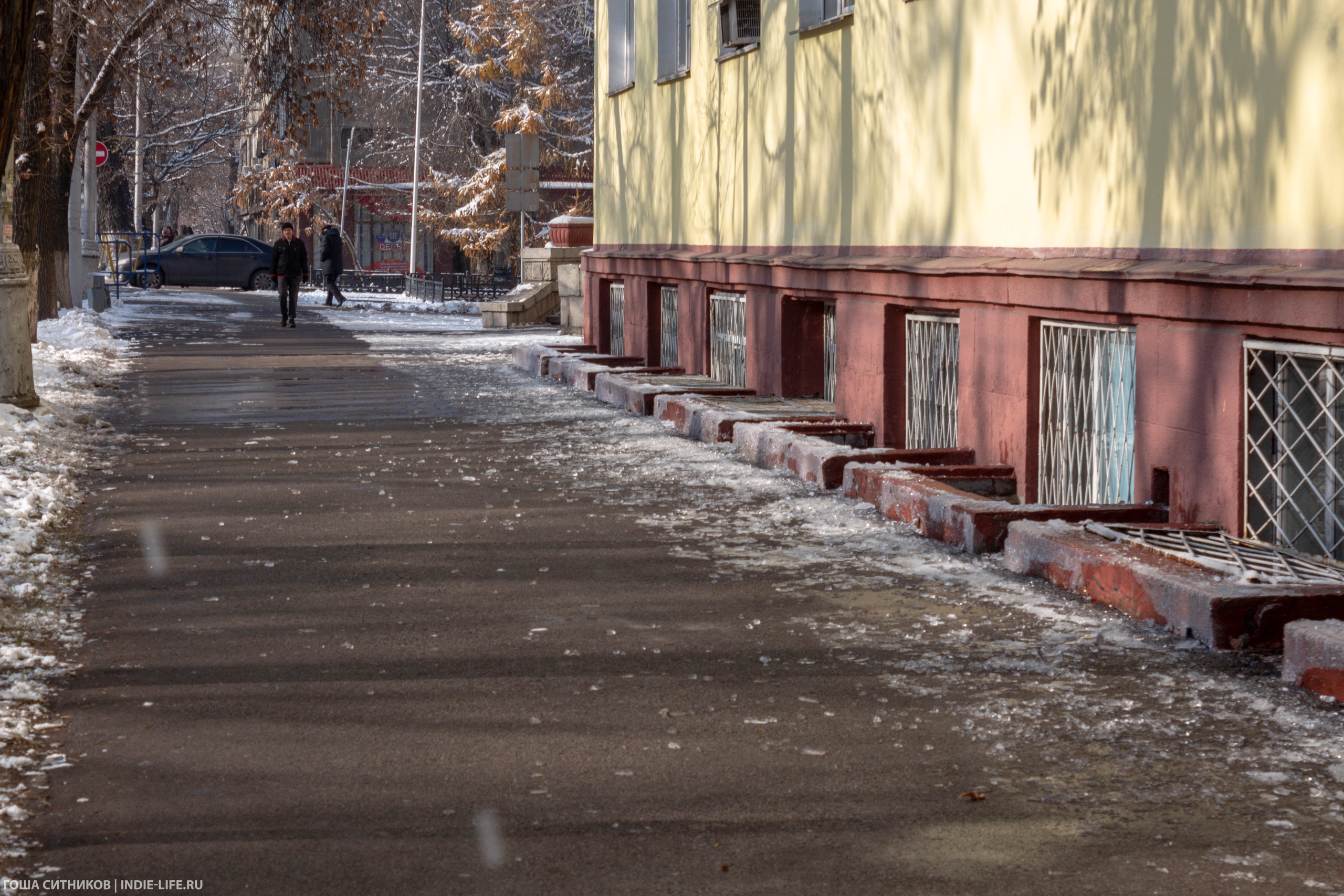 Опавшие сосули