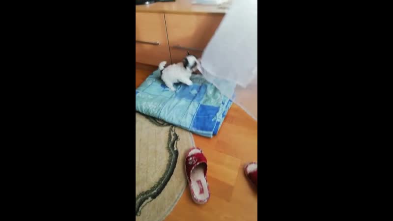 VIDEO-2020-02-15-13-05-46.mp4