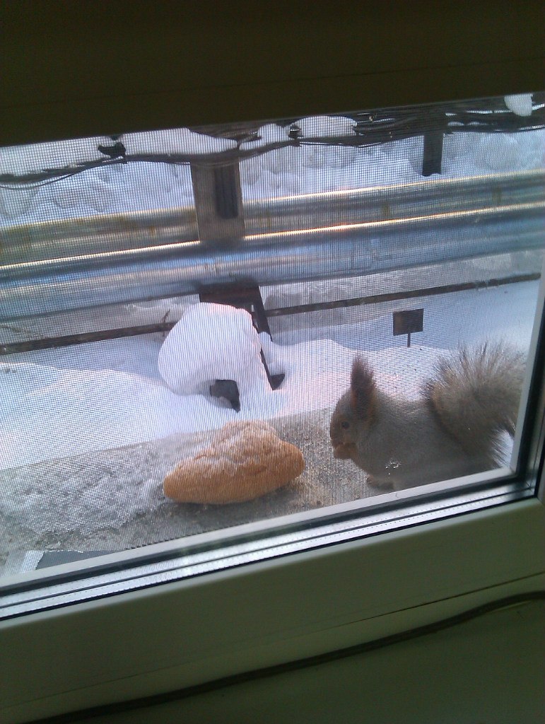 Ирек Хасанов | Нижневартовск