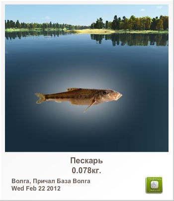 Den Super | Черкассы