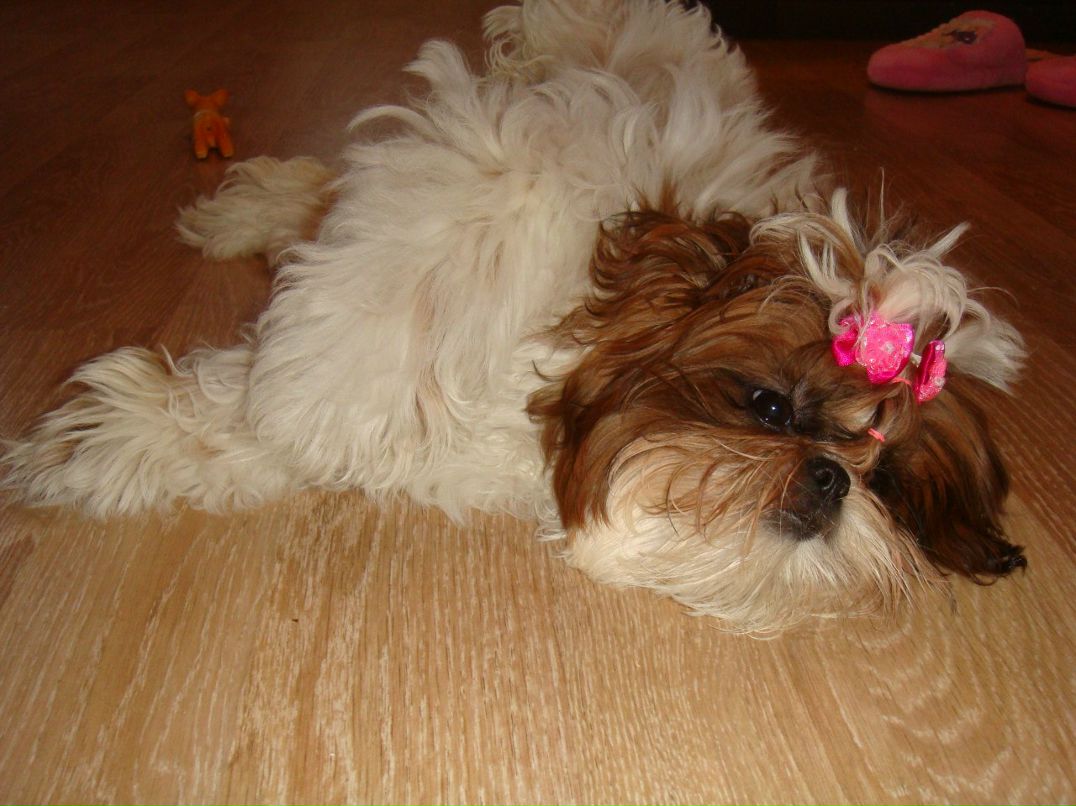 Ирина Рубцова | Вологда