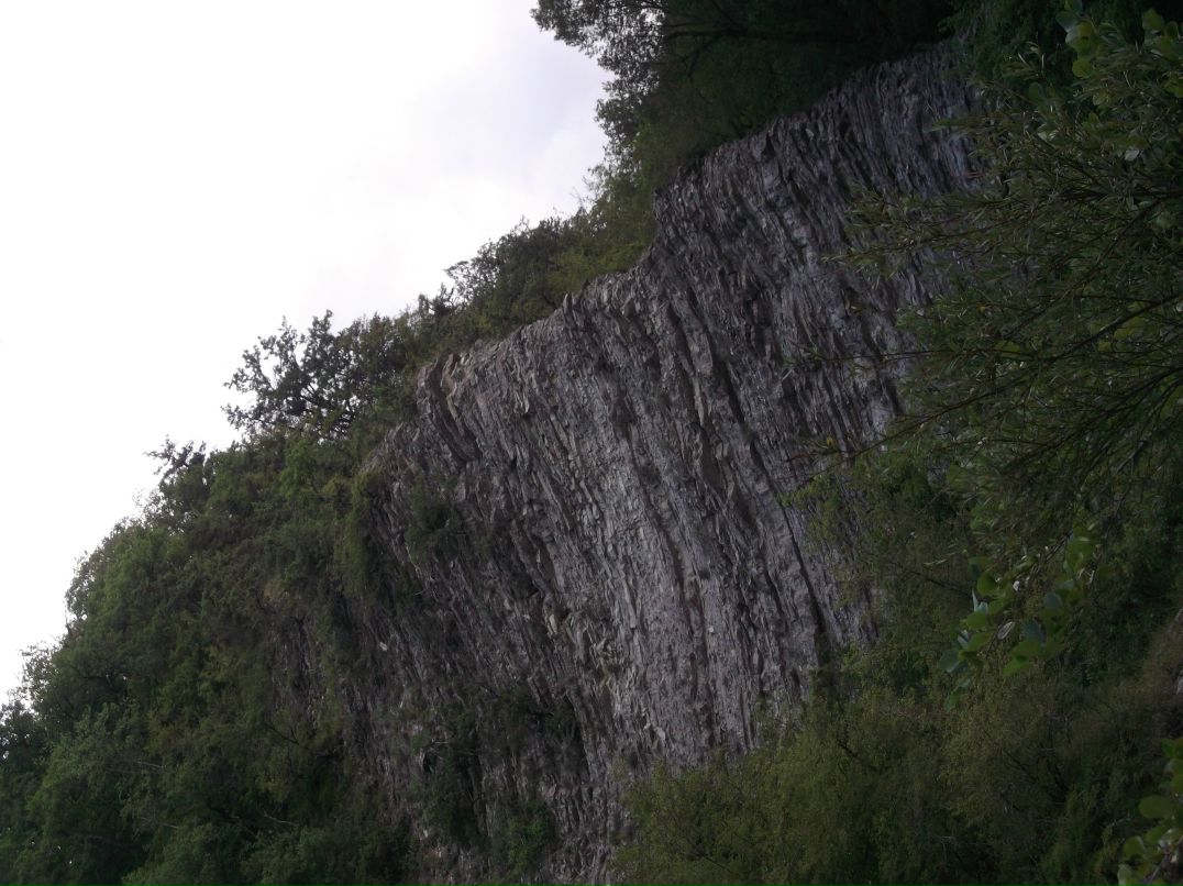 Руслан Шолохов Игоревич | Краматорск