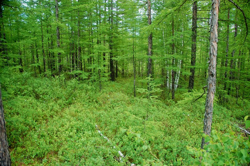 Дмитрий Михайлов | Запорожье