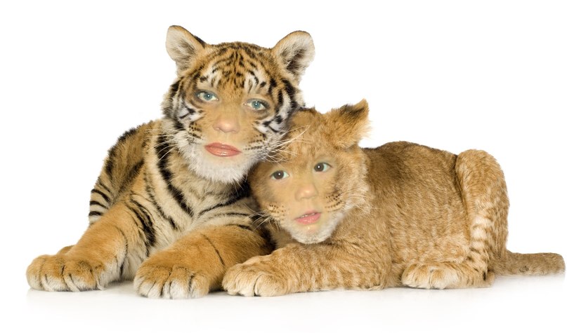 Наталья Литан | Москва